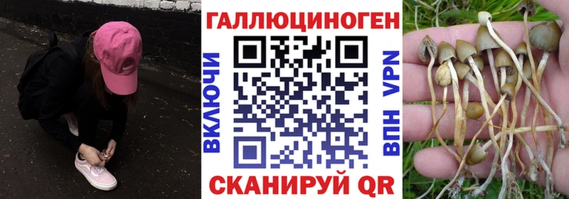 купить наркотики сайты  Сельцо  ссылка на мегу tor  Галлюциногенные грибы ЛСД 