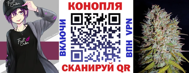 Бошки Шишки планчик  Сельцо 